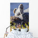 Close Up Of An Adult Arctic Ground Squirrel Sitting Wall Mural