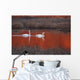 Pair Of Trumpeter Swans Swim Wall Mural