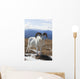 A Dall Sheep Ram Stands On Tundra Wall Mural