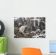Dall Sheep Ram Stands Wall Mural
