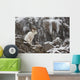 Dall Sheep Ram Stands Wall Mural
