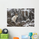 Dall Sheep Ram Stands Wall Mural