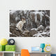 Dall Sheep Ram Stands Wall Mural