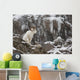 Dall Sheep Ram Stands Wall Mural