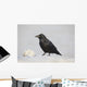 A Raven Perched On A Snow Bank, Girdwood, Southcentral Alaska, Winter Wall Mural