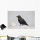 A Raven Perched On A Snow Bank, Girdwood, Southcentral Alaska, Winter Wall Mural