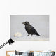 A Raven Perched On A Snow Bank, Girdwood, Southcentral Alaska, Winter Wall Mural