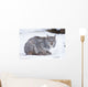Canada Lynx Crouched On The Snowcovered Ground In Alberta Wall Mural