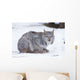 Canada Lynx Crouched On The Snowcovered Ground In Alberta Wall Mural