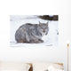 Canada Lynx Crouched On The Snowcovered Ground In Alberta Wall Mural