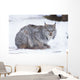 Canada Lynx Crouched On The Snowcovered Ground In Alberta Wall Mural