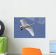 A Tundra Swan Flys Through The Blue Sky Near Portage Wall Mural
