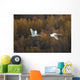 Two Adult Trumpeter Swans Fly Over Potter Marsh Near Anchorage Wall Mural