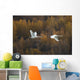 Two Adult Trumpeter Swans Fly Over Potter Marsh Near Anchorage Wall Mural