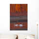 A Pair Of Adult Trumpeter Swans Swim Wall Mural