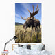 A Wide-Angle Close-Up View Of A Bull Moose Wall Mural