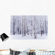Frost Covered Cottonwood Trees Wall Mural