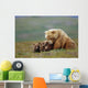 Grizzly Bear Sow W/4 Young Cubs Wall Mural