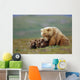 Grizzly Bear Sow W/4 Young Cubs Wall Mural
