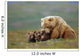 Grizzly Bear Sow W/4 Young Cubs Wall Mural