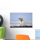 An Adult Polar Bear Rests Along Wall Mural