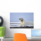 An Adult Polar Bear Rests Along Wall Mural