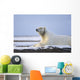 An Adult Polar Bear Rests Along Wall Mural