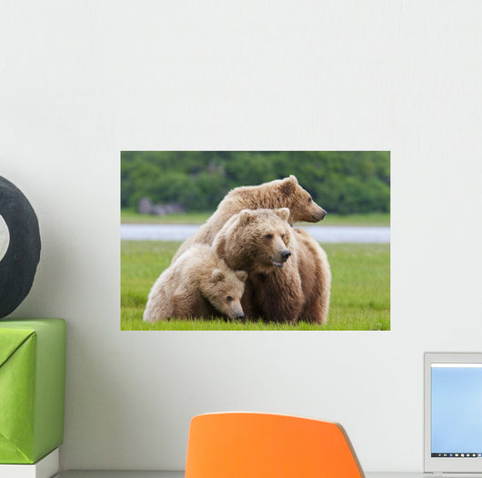 Coastal Brown Bear Sow With Her Two Spring Cubs At Hallo Bay Wall Mural