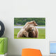 Coastal Brown Bear Sow With Her Two Spring Cubs At Hallo Bay Wall Mural