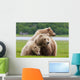 Coastal Brown Bear Sow With Her Two Spring Cubs At Hallo Bay Wall Mural