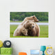 Coastal Brown Bear Sow With Her Two Spring Cubs At Hallo Bay Wall Mural