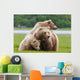 Coastal Brown Bear Sow With Her Two Spring Cubs At Hallo Bay Wall Mural