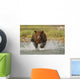 Coastal Grizzly Boar Fishing At Geographic Harbor Wall Mural