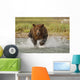 Coastal Grizzly Boar Fishing At Geographic Harbor Wall Mural