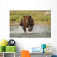 Coastal Grizzly Boar Fishing At Geographic Harbor Wall Mural