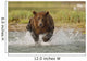 Coastal Grizzly Boar Fishing At Geographic Harbor Wall Mural