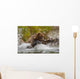 Coastal Brown Bear Sow Fishing At Kinak Bay Wall Mural