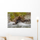 Coastal Brown Bear Sow Fishing At Kinak Bay Wall Mural