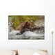 Coastal Brown Bear Sow Fishing At Kinak Bay Wall Mural