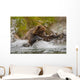 Coastal Brown Bear Sow Fishing At Kinak Bay Wall Mural