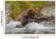 Coastal Brown Bear Sow Fishing At Kinak Bay Wall Mural