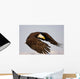 Bald Eagle Preparing To Land At Homer Spit, Kenai Peninsula, Alaska Wall Mural