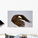 Bald Eagle Preparing To Land At Homer Spit, Kenai Peninsula, Alaska Wall Mural