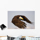 Bald Eagle Preparing To Land At Homer Spit, Kenai Peninsula, Alaska Wall Mural