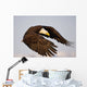 Bald Eagle Preparing To Land At Homer Spit, Kenai Peninsula, Alaska Wall Mural