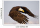 Bald Eagle Preparing To Land At Homer Spit, Kenai Peninsula, Alaska Wall Mural