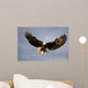 Bald Eagle In Flight Over Homer Spit, Kenai Peninsula, Alaska Wall Mural