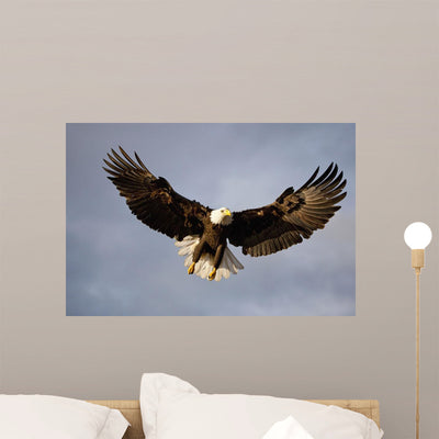 Bald Eagle Flight over Wall Mural shown on a wall
