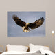 Bald Eagle In Flight Over Homer Spit, Kenai Peninsula, Alaska Wall Mural