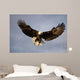 Bald Eagle In Flight Over Homer Spit, Kenai Peninsula, Alaska Wall Mural
